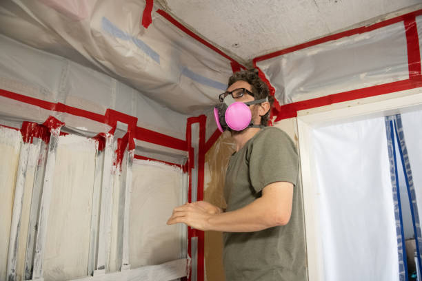 Best Emergency Mold Remediation  in Carolina Shores, NC