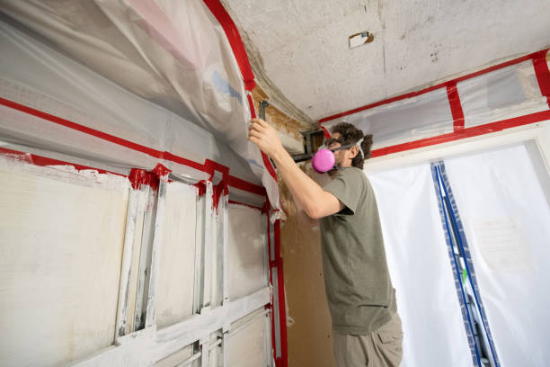 Best Mold-Related Health Consultation  in Carolina Shores, NC